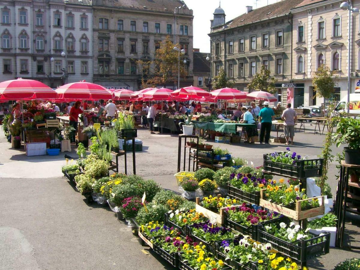Apartman Zelengaj Zagabria Esterno foto